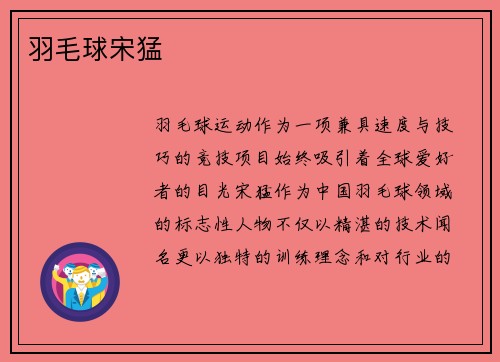 羽毛球宋猛