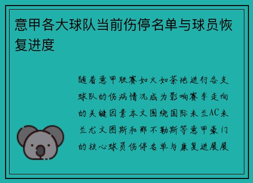 意甲各大球队当前伤停名单与球员恢复进度
